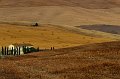 40 - crete senesi - MARCHI Franco - italy